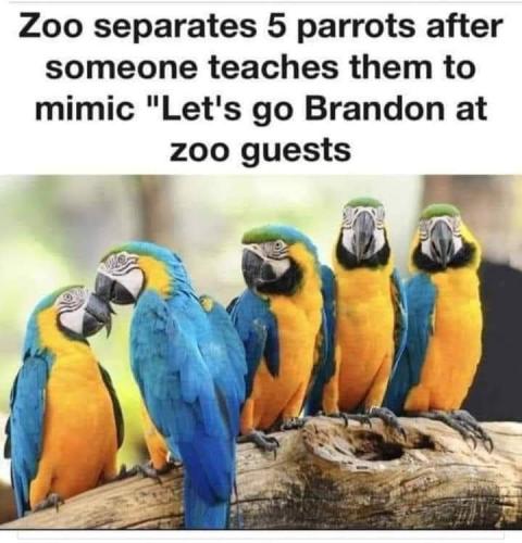 FB_IMG_1641053594578