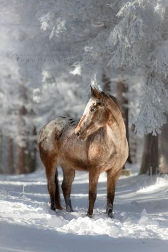 tumblr_586fc18046d7f8f3db9eaa8b88c3b6f5_c75dd3be_540