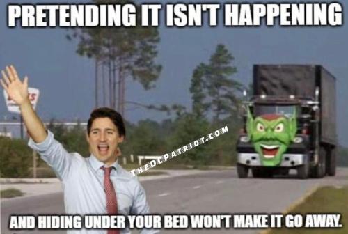 ff6beb78b65108d9b38d825170454201