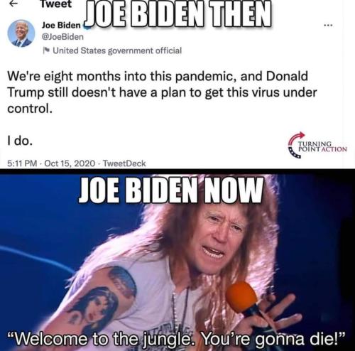 FB_IMG_1641151968219