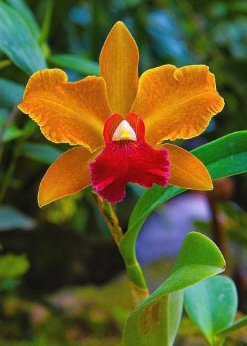 19:48:13 GMT-0600 (CST)