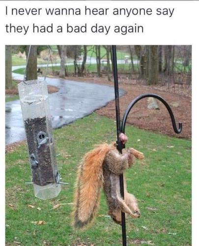 FB_IMG_1643399993306