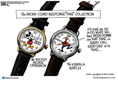 bidencovidresponsetime