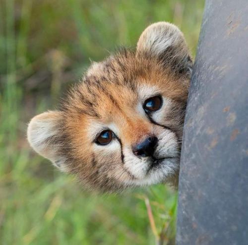 FB_IMG_1640574974055