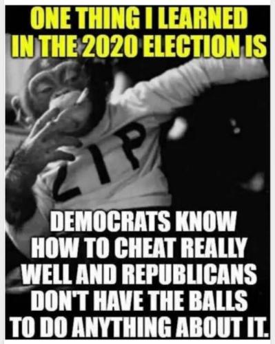 voterfraud261