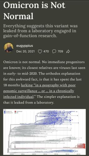 Screenshot_20220109-224853_Telegram