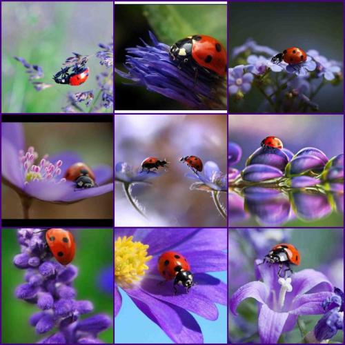 224458144_4144889335618552_9107865589541067387_n