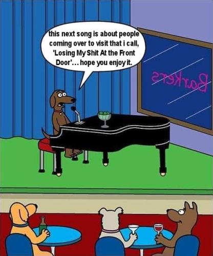 dogs20
