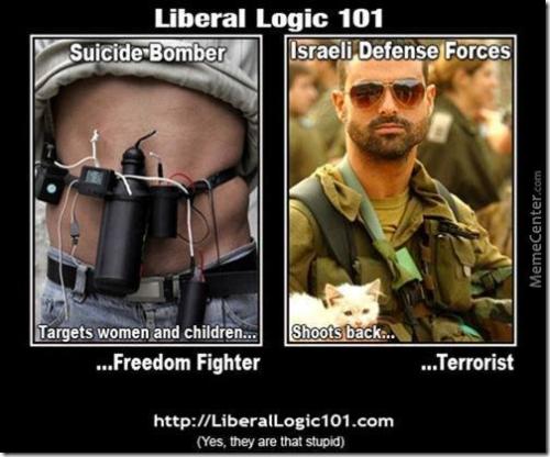 stupid-liberals_o_3070817