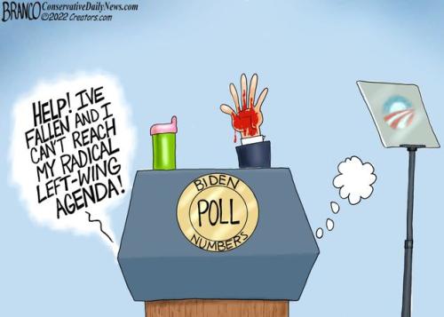 bidenpollnumbers