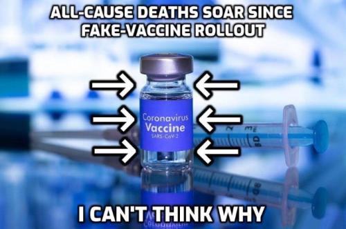 vaccine509
