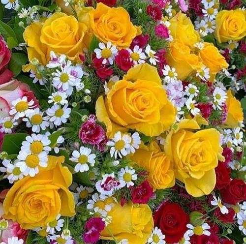 09:58:58 GMT-0600 (CST)