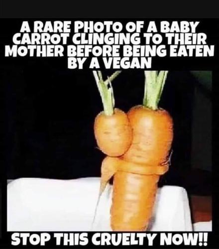 FB_IMG_1641398045573