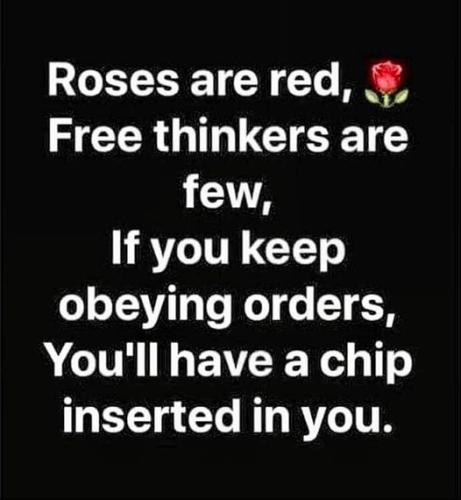 272124941_461456338781949_4185582496373851725_n