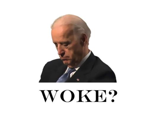 FB_IMG_1642869488993