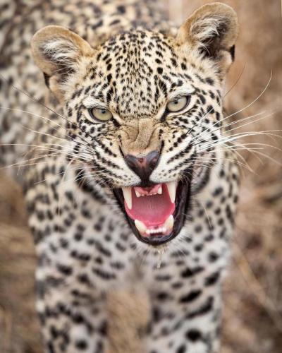 tumblr_df4ee99b5e5e1ca9c95dad28f1442c70_49c826f1_1280