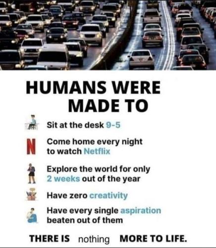 272667436_4846193052162282_6375609813190210503_n