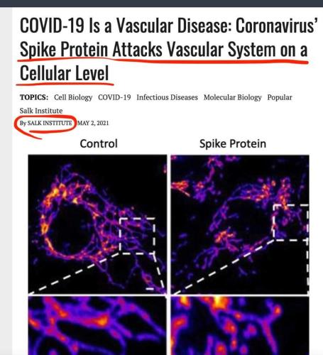 09:51:44 GMT-0600 (CST)