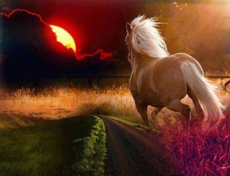 18:17:46 GMT-0600 (CST)