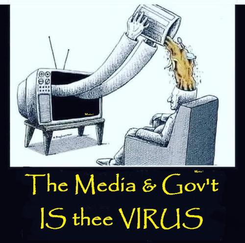 The media IS thee Virus