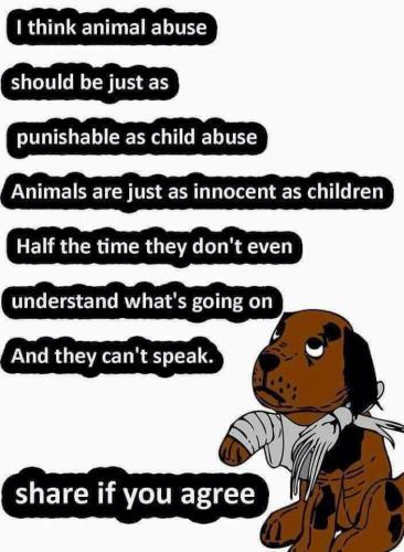 animal abuse