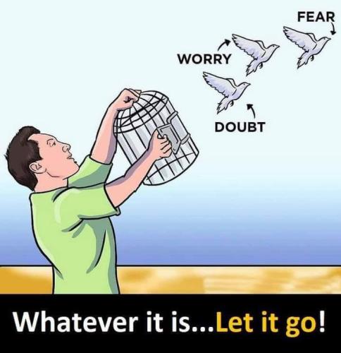 181103575_1971343843013192_5788395641346842573_n