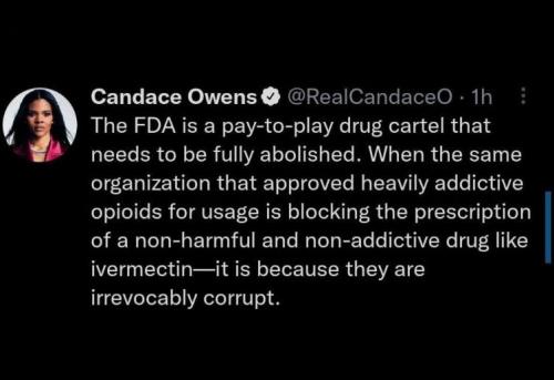 candace owens36