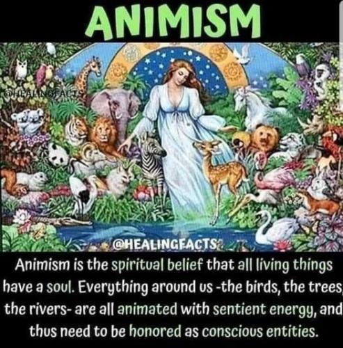 ,                                                                                                                                                                                                                          0 0