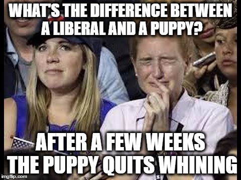 Liberals-Crying-Meme-Funny-Image-Photo-Joke-06