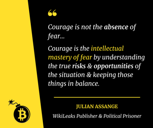 Julian Assange on fear