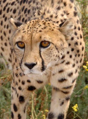 272790365_1752145928318083_2423215797033588689_n