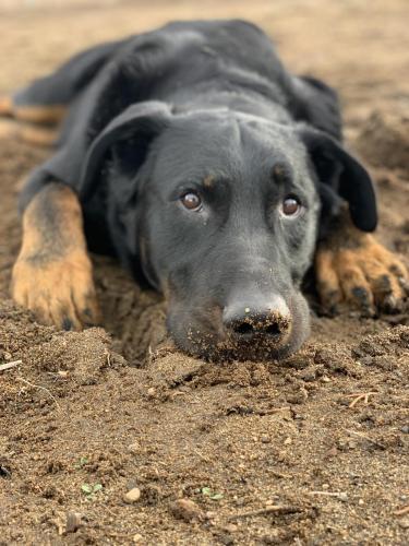 16:48:57 GMT-0800 (PST).image