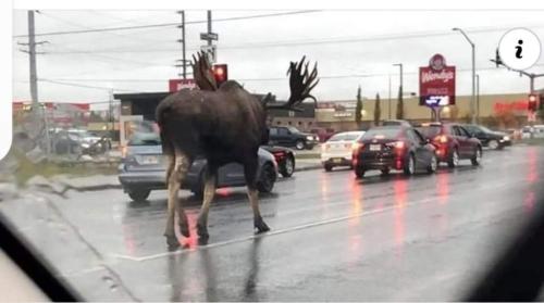 20:05:03 GMT-0700 (MST)