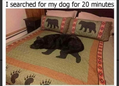 Screenshot_20220129-133433-197