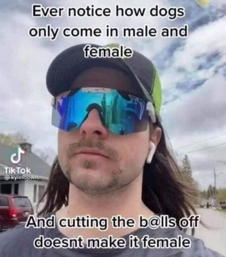 FB_IMG_1642094772716