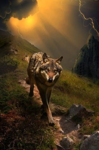 09:36:21 GMT-0600 (CST)