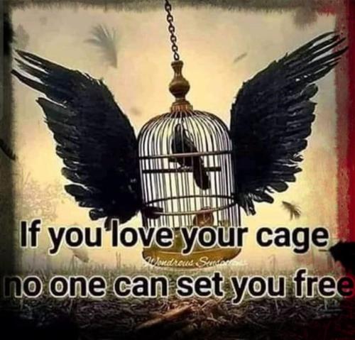 Set you free from your cage