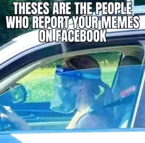 FB_IMG_1641564698893