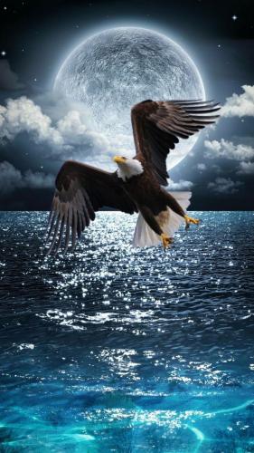 19:47:08 GMT-0600 (CST)