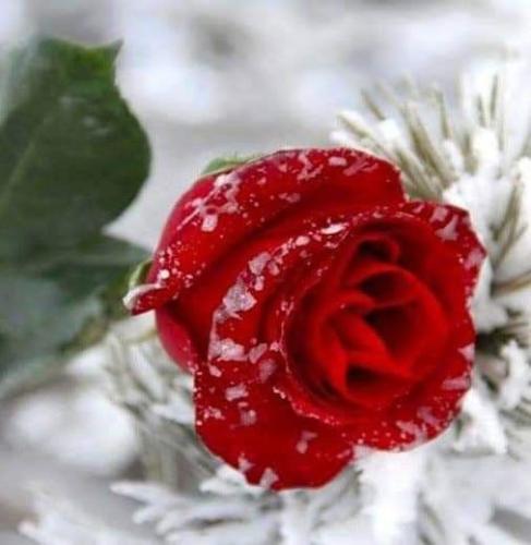 08:58:04 GMT-0600 (CST)