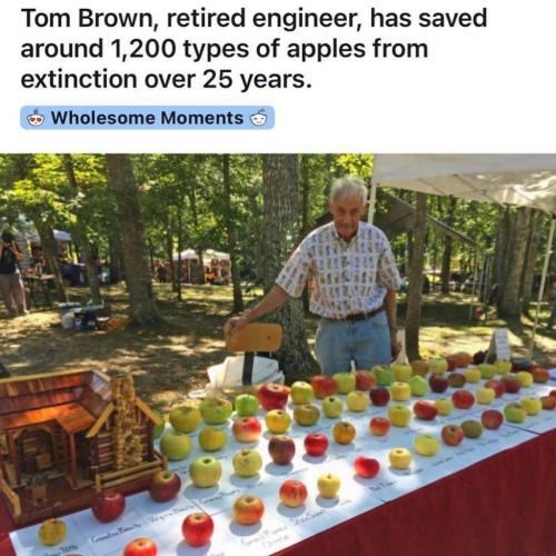 272107073_1411909155910986_5792990828744755922_n