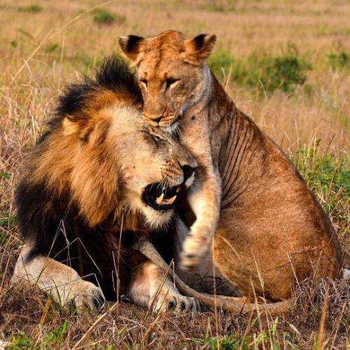 tumblr_3d3ae5b9f0c45423e8e9f83ba01c3969_cbce4d69_540