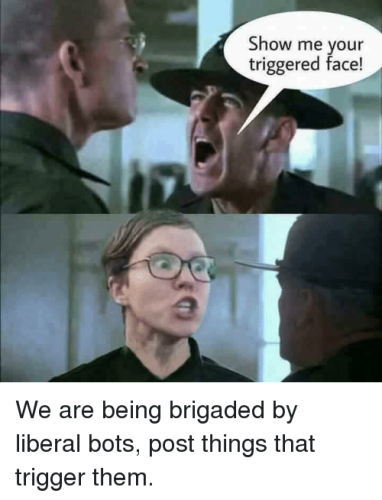show-me-vour-triggered-face-we-are-being-brigaded-by-35833165