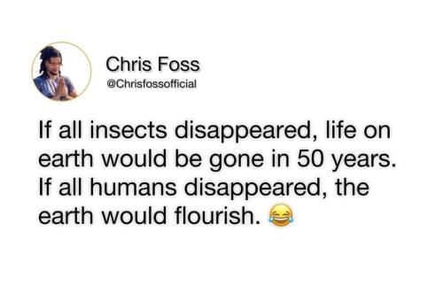 14:31:17 GMT-0600 (CST)