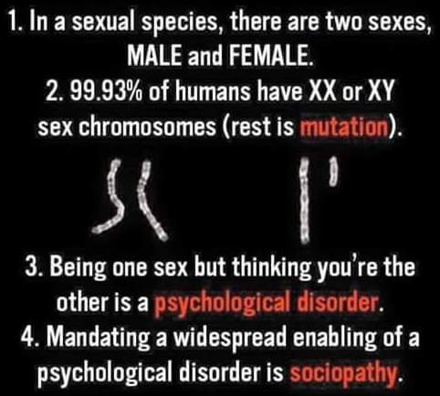 FB_IMG_1616847368915