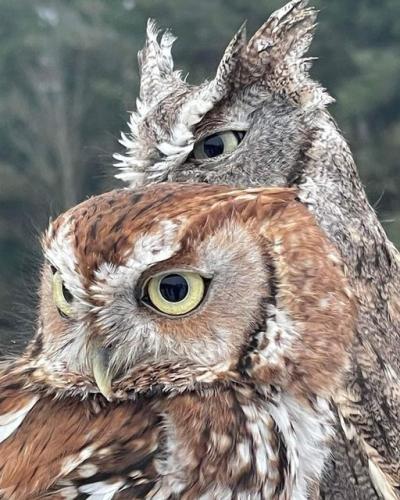 271155206_485961089574236_3663152302733414369_n