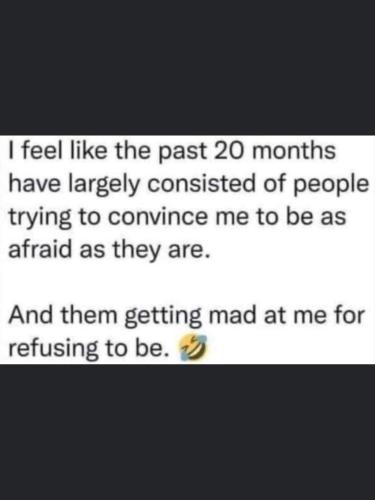 FB_IMG_1643313821317