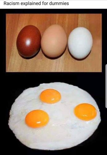 FB_IMG_1643642000694