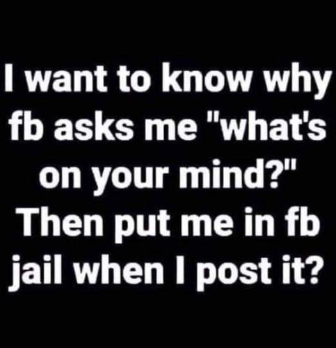 FB_IMG_1642094529638