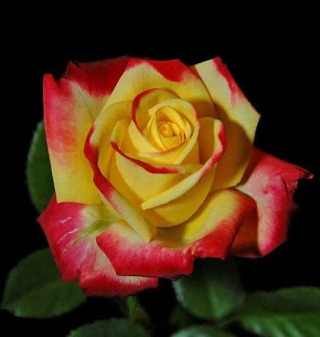 19:07:51 GMT-0600 (CST)